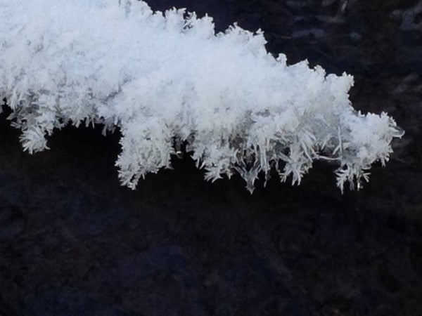 snowcrystals1