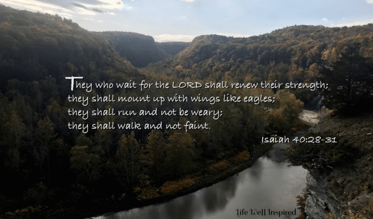 How to Survive the Hard Times