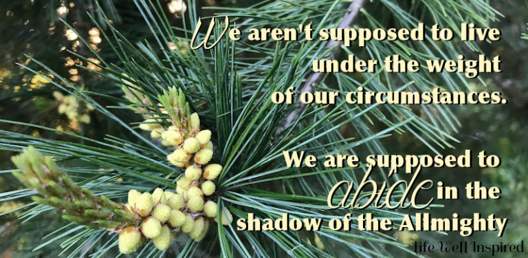 We Need To Abide in the Lord