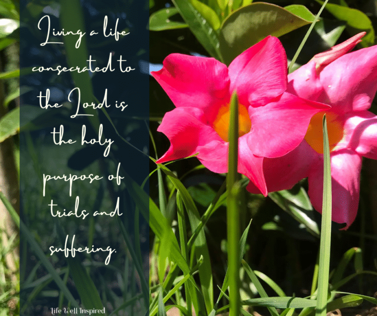 Holy Purpose: A Consecrated Life