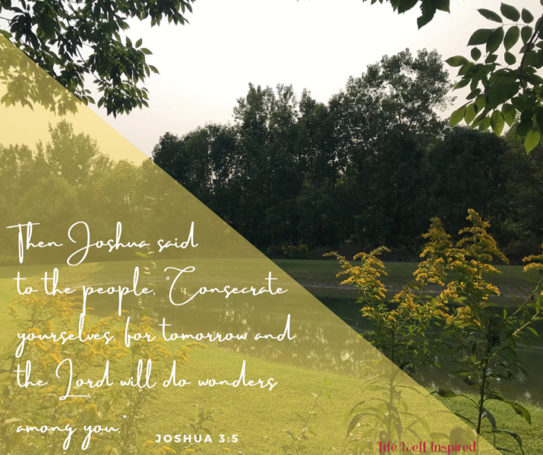 Has God’s Goodness Created Consecration in Your Life?