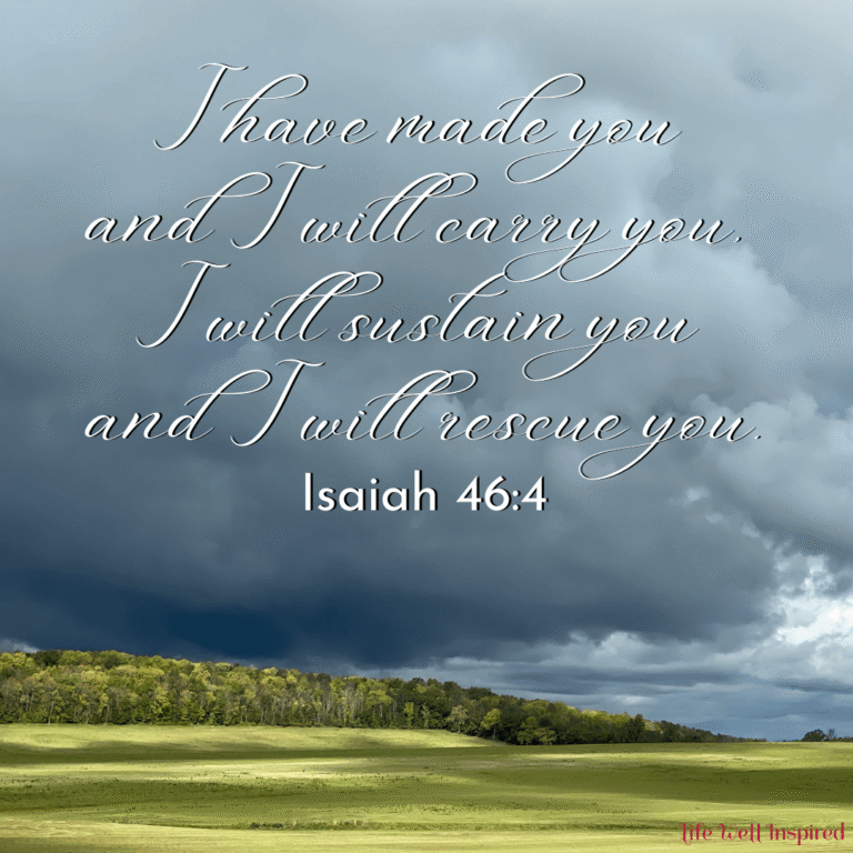 God Provides True rescue I have made you and I will carry you; I will sustain you and I will rescue you. Isaiah 46:4