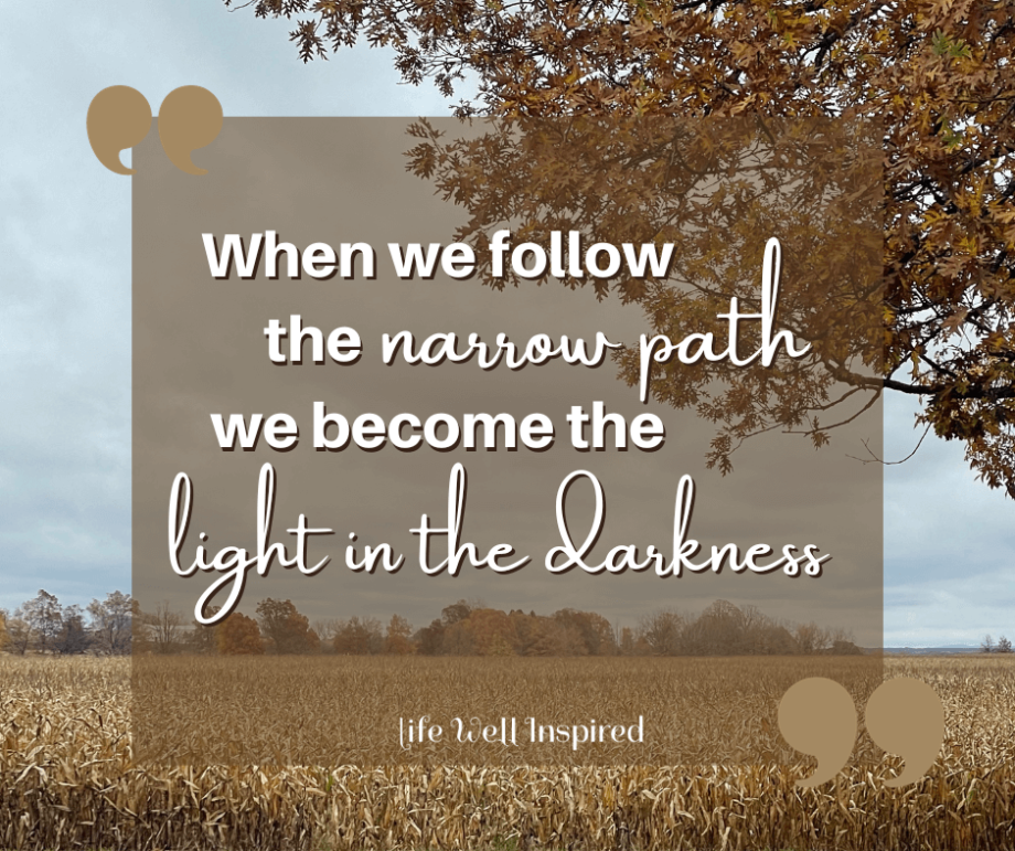 When we follow the narrow path, we become the light in the darkness.