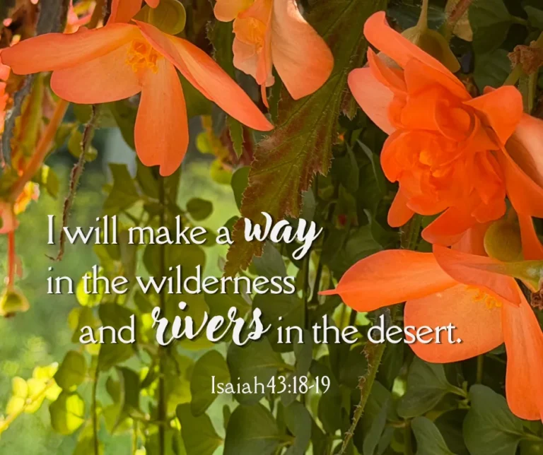 I will make a way in the wilderness and rivers in the desert. Isaiah 43:18-19